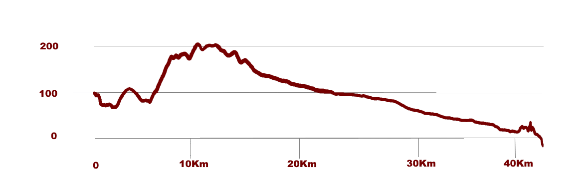 Elevation profile — Vlakte Marathon