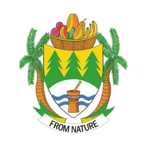 Tzaneen Mayoral Race logo