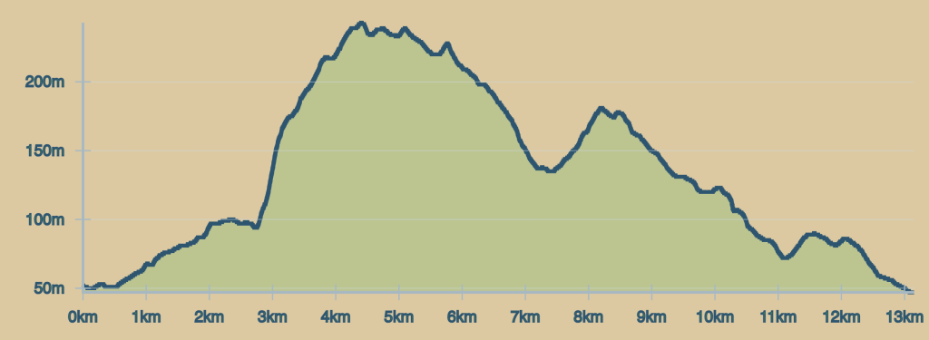 Elevation profile — 13.5km Trail Run