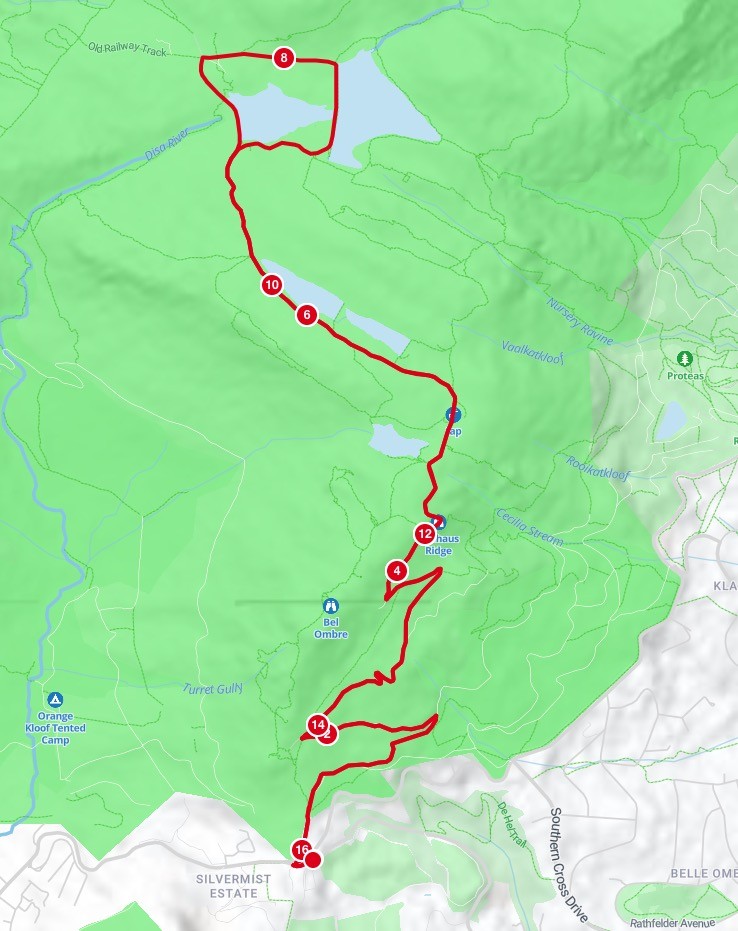 Route map — Totalsports Table Mountain 16 km